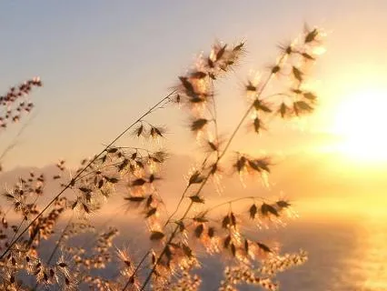 Interview Prep: Clear, Grounded, Ready (7 Minutes)