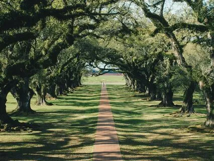 Interview: Salaam Green ~ The Woman In The Yellow Apron