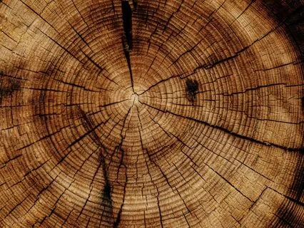 Interview: Thomas Wilson ~ Helping Others Thrive!