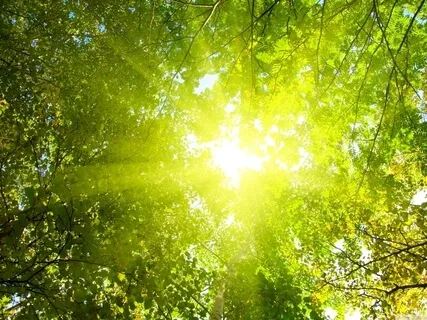 Interview With Jenny Light, Awakened Yogi & Healer