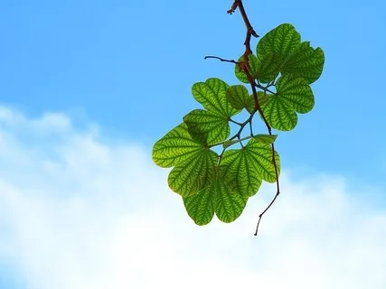 Interview With Teen & Family Therapist Dan McGann