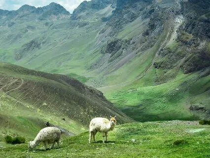 Inti Raymi Prelude To The Sun, Flute Solo And Andes Mountain