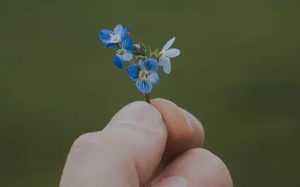 Intimacy With This Moment - Meditate Now