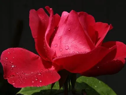 Intimate Deep Connection With Your Loved One