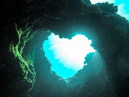 Intimate Mystery: Takng A Leap Of Love