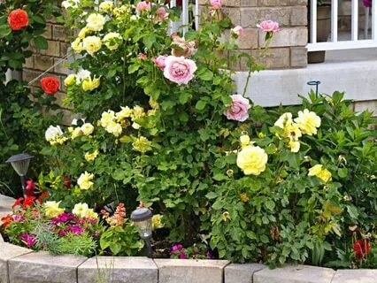 Intimate Piano 3 - Reading