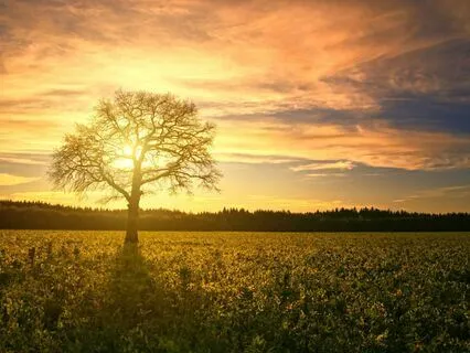 Into The Calm: Delta Waves