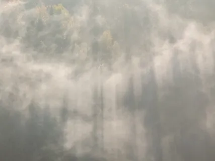 Into The Cloud Of Witnesses