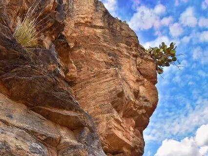 Into The Depths Of Emotional Healing