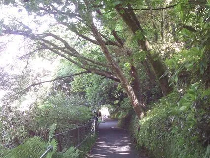 Into The Garden Of Self Love & Compassion | No Music