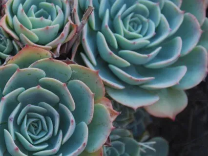 Into The Mystery Podcast Ep. 22a: Tao Te Ching Verses 18-19