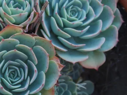 Into The Mystery Podcast, Ep. 22b: Tao Te Ching Verses 18 & 19