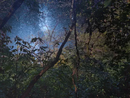 Into The Mystery Podcast (Episode 1)