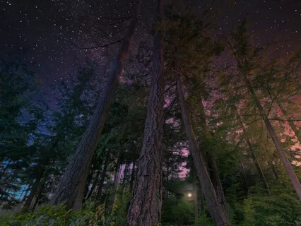 Into The Mystery Podcast (Episode 2)