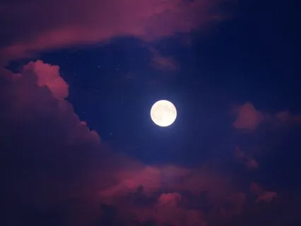 Into The Night Sky We Ascend!