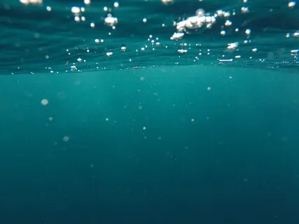 Into The Ocean Of Awareness