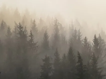 Into The Temple - Fall Equinox Nidra