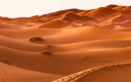 Into the Wild, A Loving Kindness Meditation On Wild Places