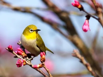 Into The Wild - The Truth Of Our Nature