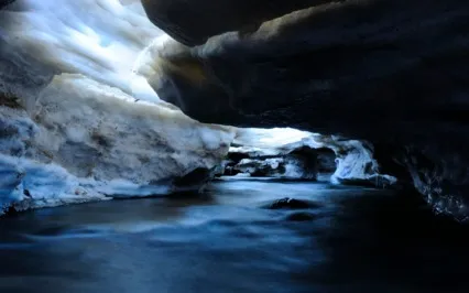 Into The Winter Womb