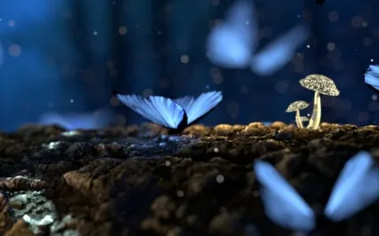 Into The Woods A Yoga Nidra Journey