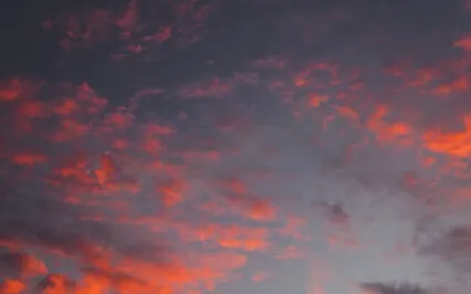 Intriguing Wonder: Natural Beauty 