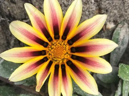 Intro Podcast To Spiritual Sobriety (Episode 1)