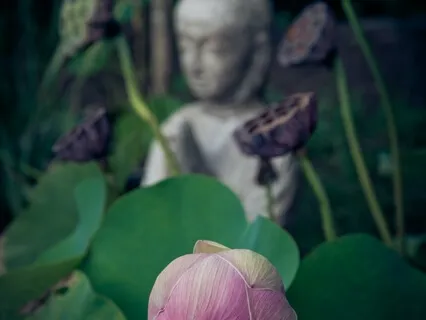 Intro til mantraet Nam Myoho Renge Kyo med fokus på vejrtrækningsdelen