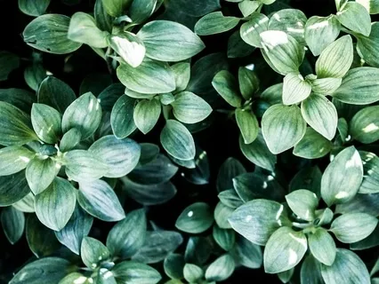 Introduction To Breath Awareness