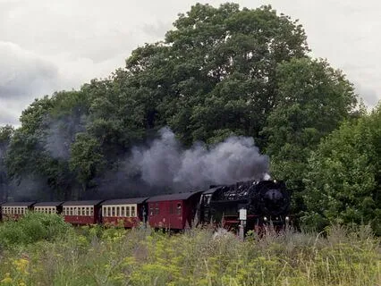 Intro To Conscious Movement Practice