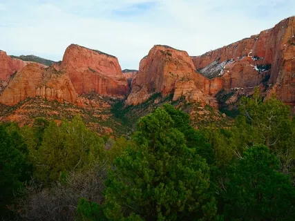 Mindful Meditation For Beginners