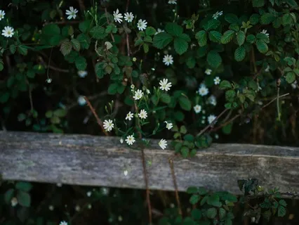 Intro To Rain For Difficult Emotions