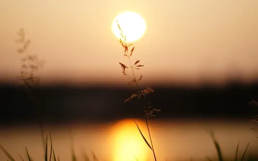 Intro To Unguided Meditation