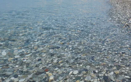 Introducing Zen What It Is And Some History 