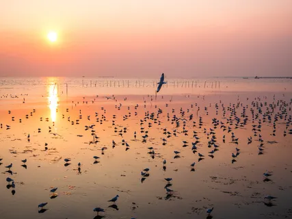 Introduction To Grounding Your Energy Field