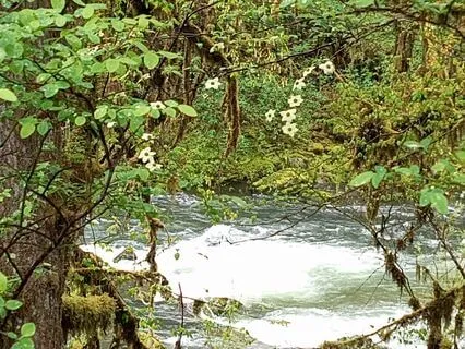 Introduction About Myself And Meditation