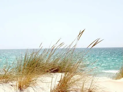 Introduction For Reiki Healing Series