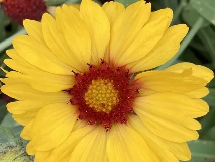 Introduction: Healing Power Of Our Voice Through Sound