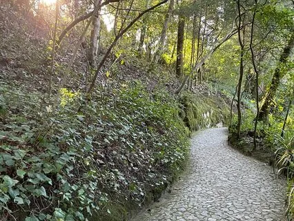 Foundations I: Parts-Work & Spiritual Formation Introduction