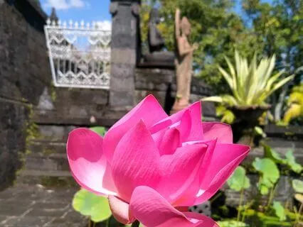 Introduction Safety Capsule For Inner Subconscious Journeys