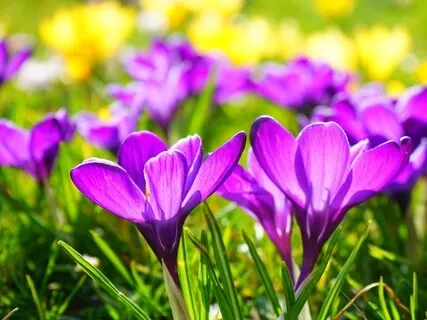 Introduction To Awareness