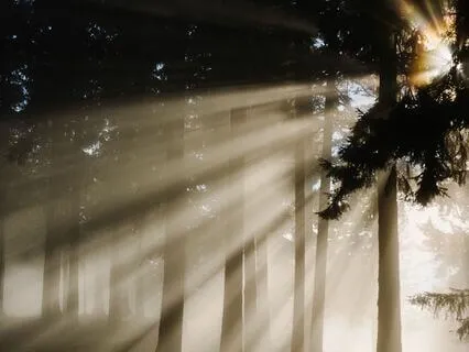 Introduction To Basic Meditation For People In Recovery