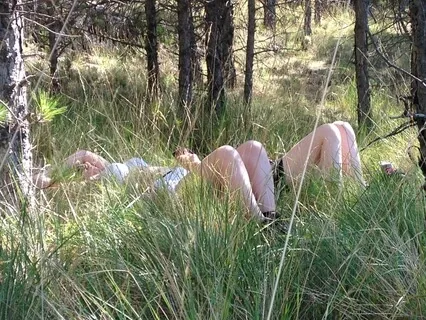 Introduction to Breath and Body Awareness