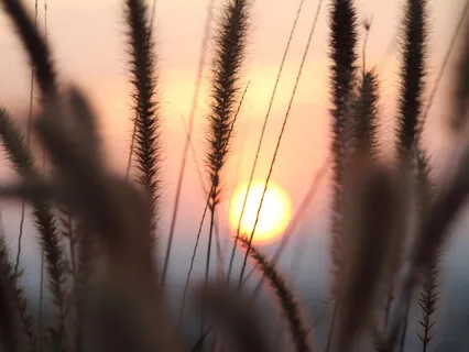 Introduction To Chakra Dyana Meditation