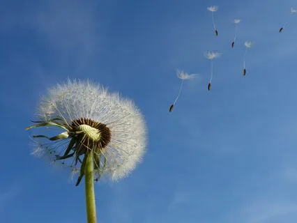 Introduction To Diaphragmatic Breathing