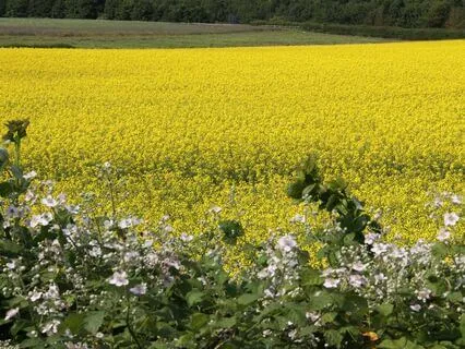 Introduction To EFT Tapping Points