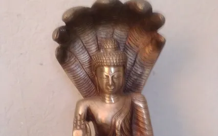 Introduction To Insight Practice 