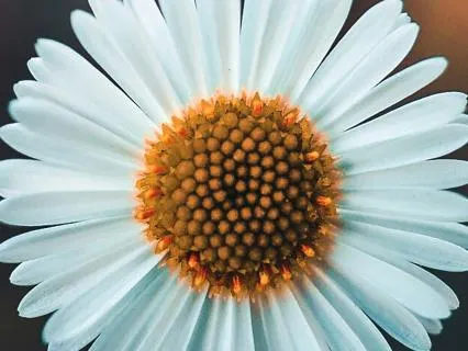 Introduction To Intuitive Guidance (Parts Work)