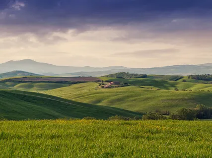 Introduction To Labeling Meditation