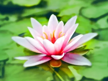 Introduction To Mantra Meditation